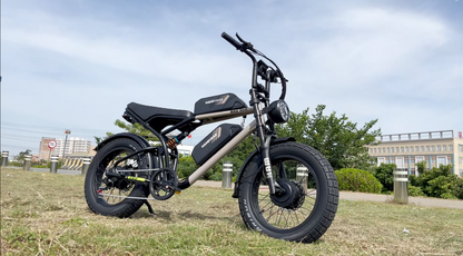 Dual Motor | Dual Battery E-Bike for Adults - Ham