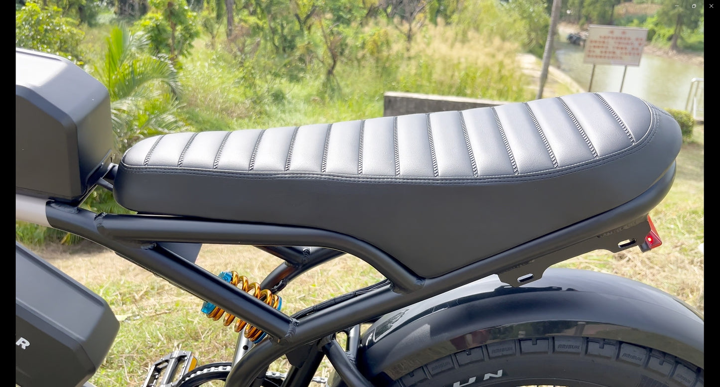 Dual Motor | Dual Battery E-Bike for Adults - Ham