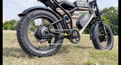 Dual Motor | Dual Battery E-Bike for Adults - Ham